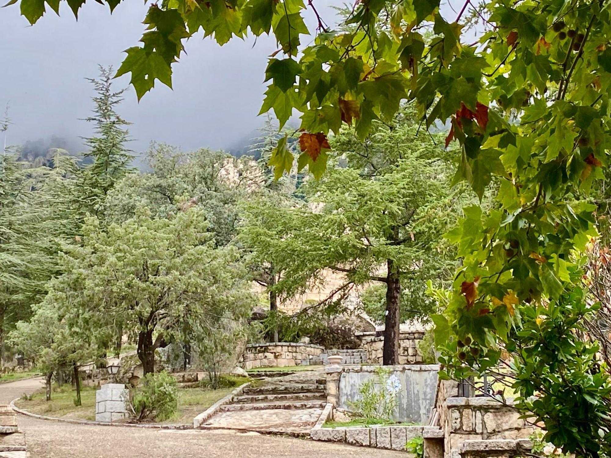 Cabanas Rusticas Dentro De La Finca El Castillo 라 카브레라 외부 사진